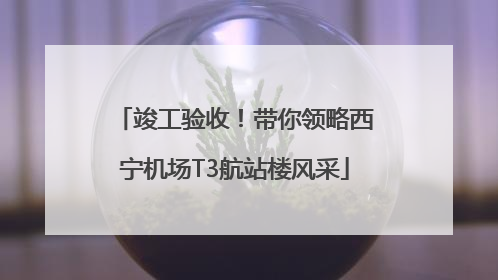 竣工验收！带你领略西宁机场T3航站楼风采
