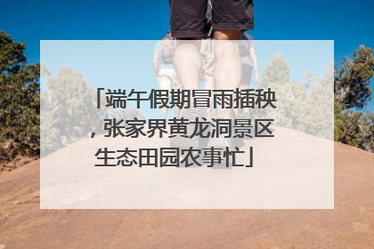 端午假期冒雨插秧，张家界黄龙洞景区生态田园农事忙