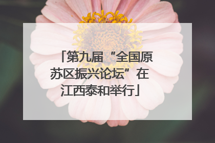 第九届“全国原苏区振兴论坛”在江西泰和举行