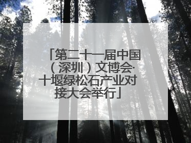 第二十一届中国（深圳）文博会·十堰绿松石产业对接大会举行