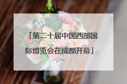 第二十届中国西部国际博览会在成都开幕