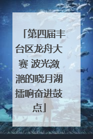 第四届丰台区龙舟大赛 波光潋滟的晓月湖擂响奋进鼓点
