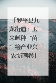 罗平县九龙街道：玉米制种“苗”绘产业兴农新画卷