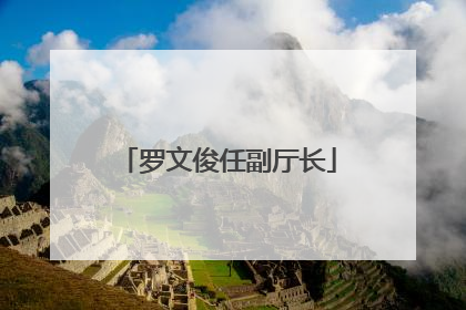 罗文俊任副厅长