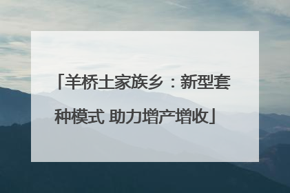 羊桥土家族乡：新型套种模式 助力增产增收