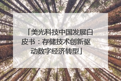 美光科技中国发展白皮书：存储技术创新驱动数字经济转型