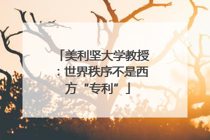 美利坚大学教授：世界秩序不是西方“专利”