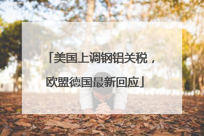 美国上调钢铝关税，欧盟德国最新回应