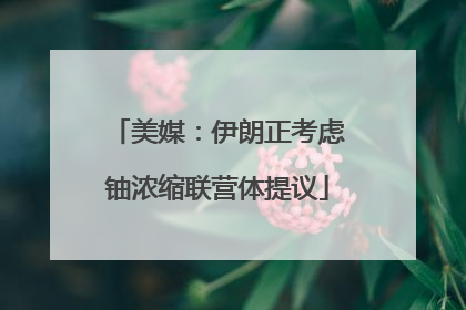 美媒：伊朗正考虑铀浓缩联营体提议