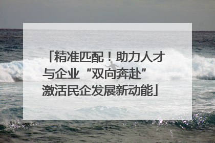 精准匹配！助力人才与企业“双向奔赴” 激活民企发展新动能