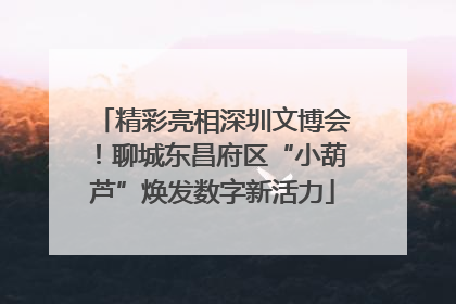 精彩亮相深圳文博会！聊城东昌府区“小葫芦”焕发数字新活力