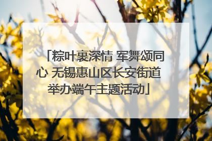 粽叶裹深情 军舞颂同心 无锡惠山区长安街道举办端午主题活动