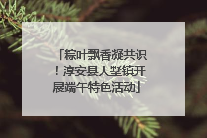 粽叶飘香凝共识！淳安县大墅镇开展端午特色活动