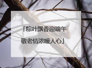 粽叶飘香迎端午 敬老情浓暖人心