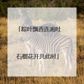 粽叶飘香连湘吐 石榴花开共此时