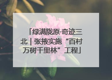 绿满陇原·奇迹三北｜张掖实施“百村万树千里林”工程