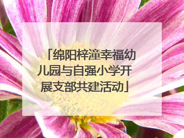 绵阳梓潼幸福幼儿园与自强小学开展支部共建活动
