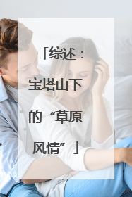 综述：宝塔山下的“草原风情”