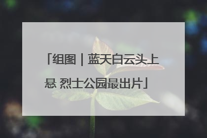 组图｜蓝天白云头上悬 烈士公园最出片