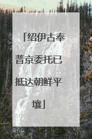 绍伊古奉普京委托已抵达朝鲜平壤