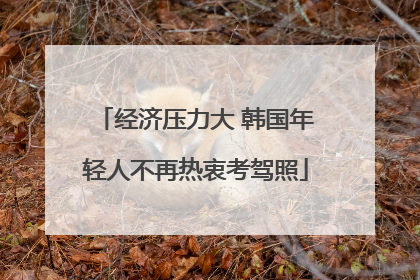 经济压力大 韩国年轻人不再热衷考驾照