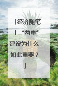经济随笔丨“两重”建设为什么如此重要？