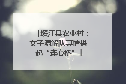 绥江县农业村：女子调解队真情搭起“连心桥”