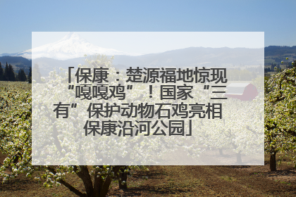 保康：楚源福地惊现“嘎嘎鸡”！国家“三有”保护动物石鸡亮相保康沿河公园