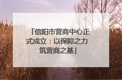 信阳市营商中心正式成立：以保障之力 筑营商之基