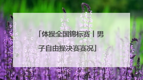 体操全国锦标赛丨男子自由操决赛赛况