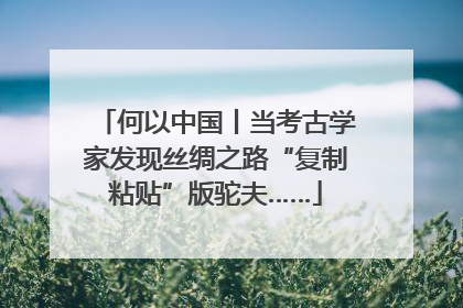 何以中国丨当考古学家发现丝绸之路“复制粘贴”版驼夫……
