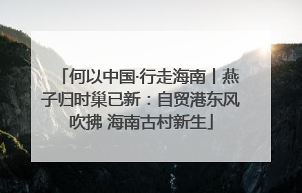 何以中国·行走海南丨燕子归时巢已新：自贸港东风吹拂 海南古村新生