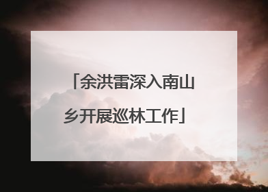 余洪雷深入南山乡开展巡林工作