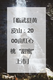 临武县黄皮山：2000亩红心桃“甜蜜”上市