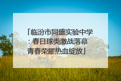 临汾市同盛实验中学：春日球类激战落幕 青春荣耀热血绽放