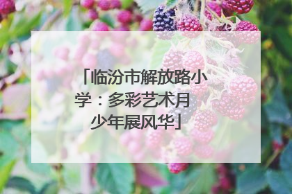 临汾市解放路小学：多彩艺术月 少年展风华