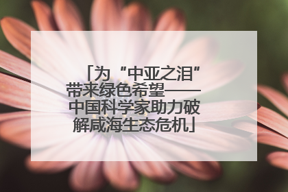 为“中亚之泪”带来绿色希望——中国科学家助力破解咸海生态危机