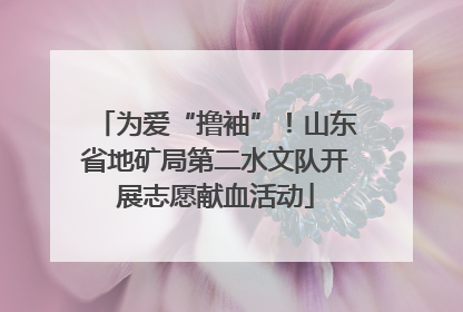 为爱“撸袖”！山东省地矿局第二水文队开展志愿献血活动
