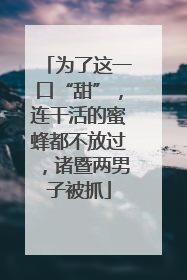 为了这一口“甜”，连干活的蜜蜂都不放过，诸暨两男子被抓