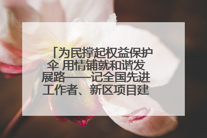 为民撑起权益保护伞 用情铺就和谐发展路——记全国先进工作者、新区项目建设中心干部卢小勇