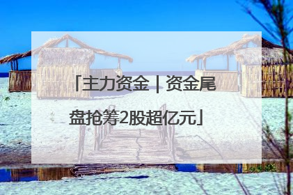 主力资金｜资金尾盘抢筹2股超亿元