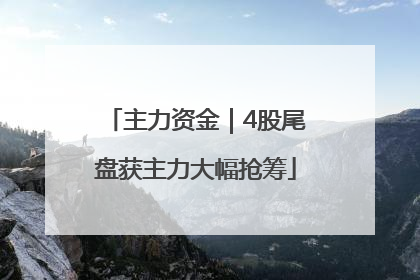 主力资金｜4股尾盘获主力大幅抢筹