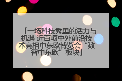 一场科技秀里的活力与机遇 近百项中外前沿技术亮相中东欧博览会“数智中东欧”板块
