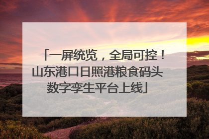 一屏统览，全局可控！山东港口日照港粮食码头数字孪生平台上线
