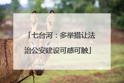 七台河：多举措让法治公安建设可感可触