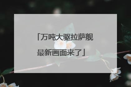 万吨大驱拉萨舰最新画面来了
