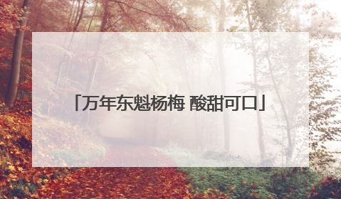 万年东魁杨梅 酸甜可口