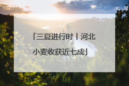 三夏进行时丨河北小麦收获近七成