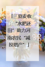 三夏麦收：“水肥还田”助力河南农民“减投增产”