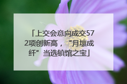 上交会意向成交572项创新高，“月壤成纤”当选镇馆之宝